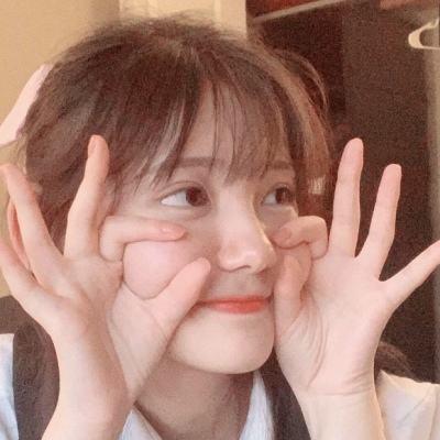 复兴骑士团完整版apk下载